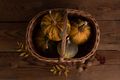 Pumpkin and nuts on solid wood table - PhotoDune Item for Sale