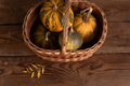 Pumpkins in rattan basket - PhotoDune Item for Sale