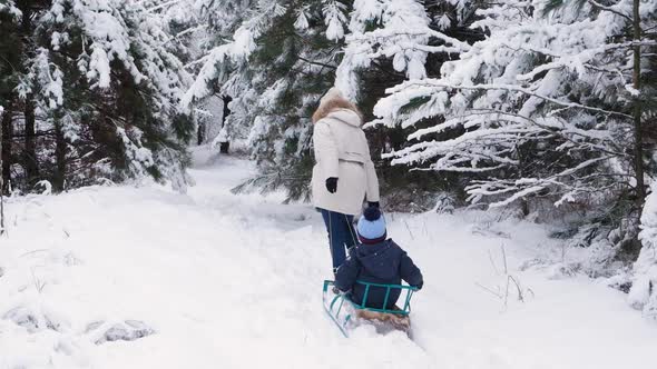 A Mother Sleds Her Son in a Snowcovered Forest at a Ski Resort in Winter Slow Motion Shooting