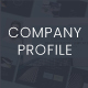 Company Profile Presentation Google Slides Template - GraphicRiver Item for Sale