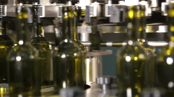 Wine Bottles Moving Along the Conveyor Line