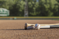 Low angle view of a baseball and bats on dirt infield of baseball park in afternoon sunlight - PhotoDune Item for Sale