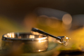 Closeup of wedding rings - PhotoDune Item for Sale