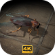 Cockroach - Walking - VideoHive Item for Sale