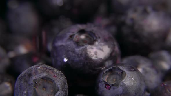 Super Close-up of Juice Drops Falling on the Large Blueberries 