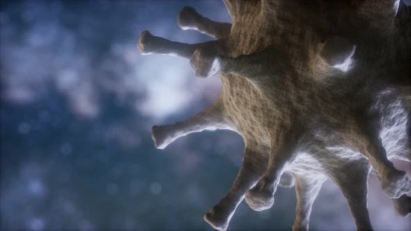 Virtual Representation Macro Model of Novel Coronavirus COVID-2019 alt