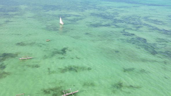 Boats in the Ocean Near the Coast of Zanzibar Tanzania