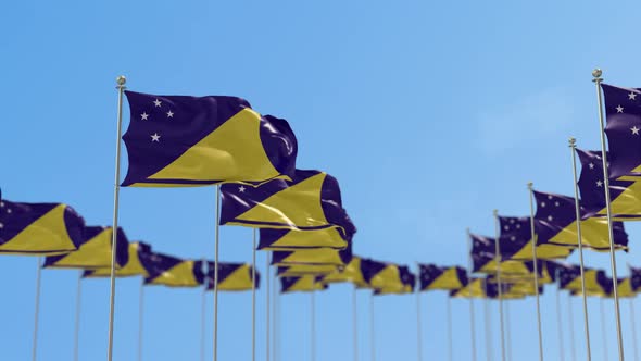 Tokelau Row Of Flags Animation