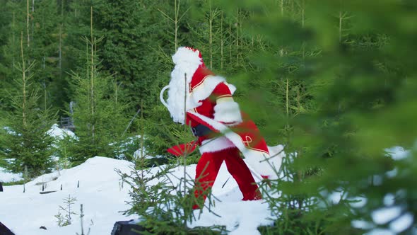 Elves and Santa Claus running in the forest alt