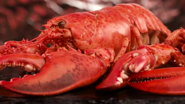 Freshly Prepared Lobsters on Slate.