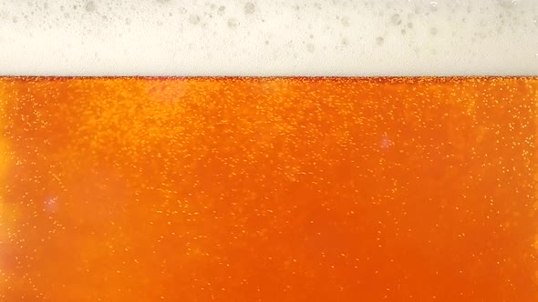 Pouring Cold Beer Into Glass, Closeup, Slow Motion