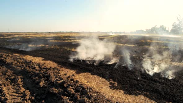 Smoldering Field with Smoke