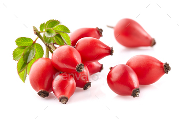 Rose hip with leaves on white background / Photodune, Misc