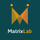 MatrixLab - Multilevel Matrix Platform - CodeCanyon Item for Sale
