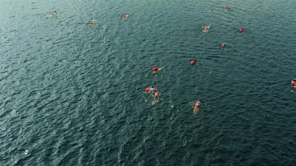 Aerial Shot of Several Open Water Swimmers Swimming in a River