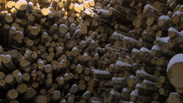 A Huge Warehouse of Wood Under the Open Sky