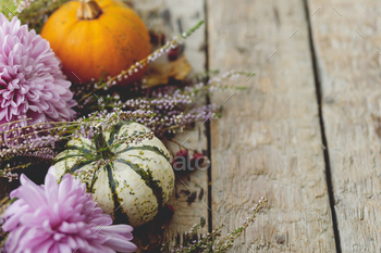 Happy Thanksgiving. Stylish pumpkins, autumn leaves,  dahlias flowers, heather on rustic old wood / Photodune, Misc