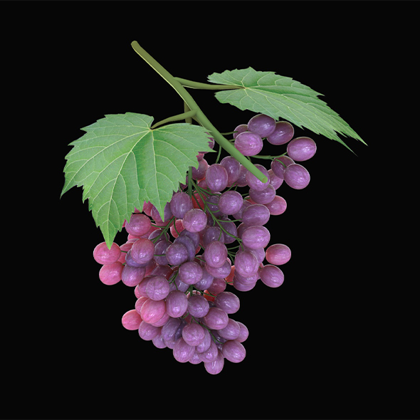 Grapes 3d model