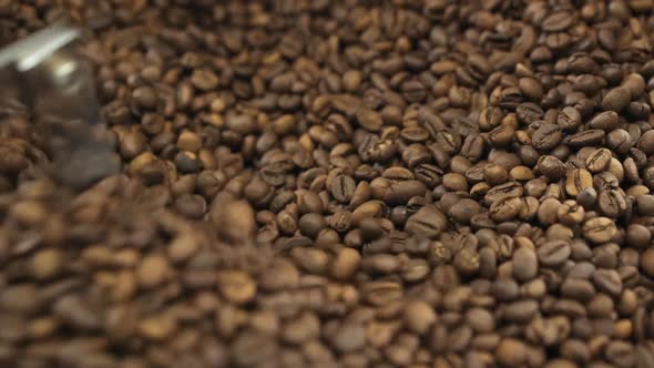 Close View of Mixing and Grinding Roasted Coffee Beans with Equipment