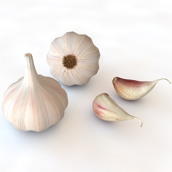 Garlic 3d model