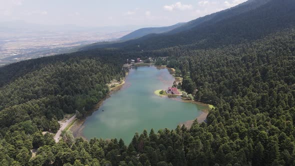 Lake Between Forest