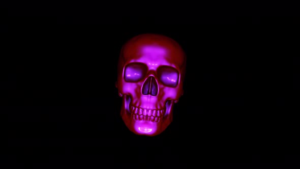 Isolated Scary Halloween Skulls Rotate Into View And Scare The Viewer In A Seamless Loop