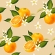 Vector Seamless Pattern with Orange Fruit and Leaf - GraphicRiver Item for Sale