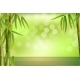 Green Bamboo Grove - GraphicRiver Item for Sale