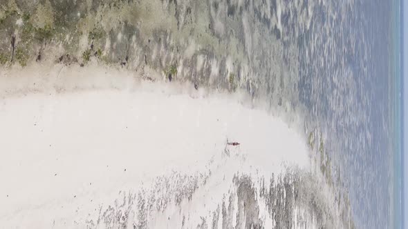 Vertical Video of a Coastal Landscape in Zanzibar Tanzania Aerial View