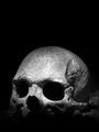 Scary skull - PhotoDune Item for Sale