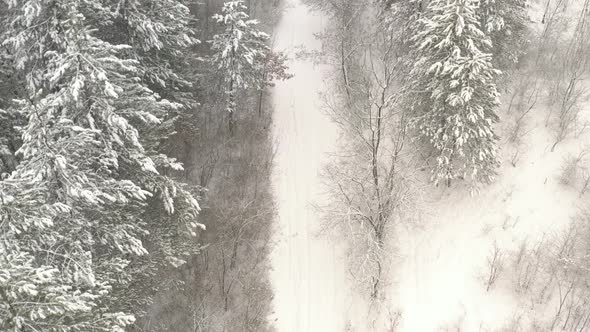 Snow in the forest and over the trail 4K drone video