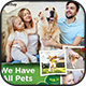 Pet Shop Flyer Template - GraphicRiver Item for Sale