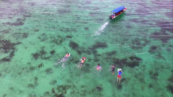 Anfibia Board Practicing Water Sports in the Tropics