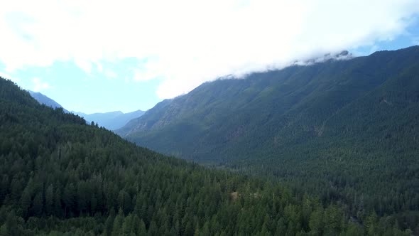 Aerial flying over evergreen trees on a beautiful mountain range in Washington.