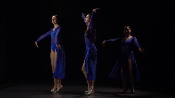 Slow Motion of Ballerinas Dancing Elements of Ballet