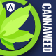 Cannaweed | Cannabis Angular Template - ThemeForest Item for Sale