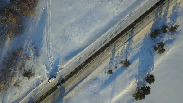 Winter Road In The Forest