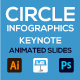 Circle Animated Infographics - GraphicRiver Item for Sale
