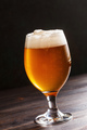 Glass goblet filled with fresh beer - PhotoDune Item for Sale