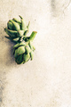 Two artichoke on beige concrete background - PhotoDune Item for Sale
