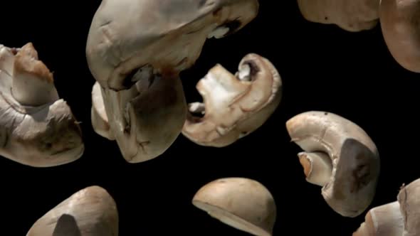 Super Closeup of the White Champignon Mushroom Halves Falling in Slow Motion