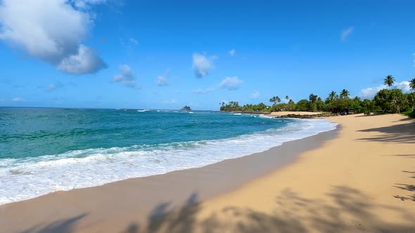 Clean And Beautiful Tropical Sandy Beach