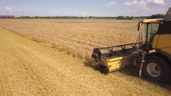 Aerial view of combine harvester harvesting large ripe wheat field.
