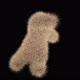 Fuzzy Dancer - VideoHive Item for Sale