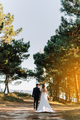 Just married couple walking on a forest - PhotoDune Item for Sale