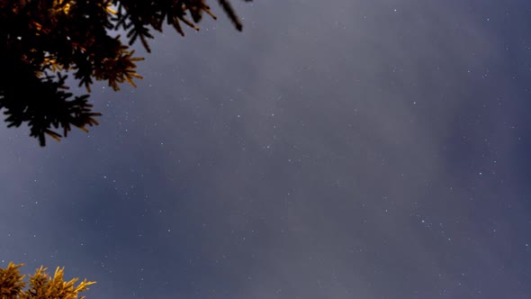 The Beautiful Autumn Night Sky with Shooting Stars