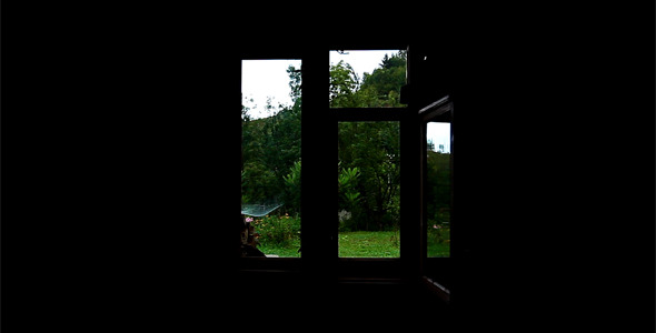 View Through The Window alt