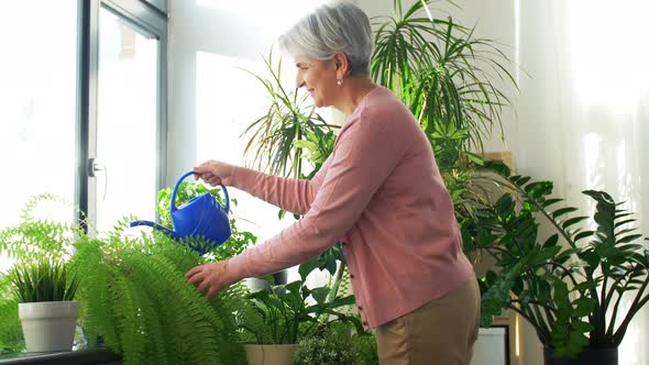 Senior Woman Watering Houseplants at Home