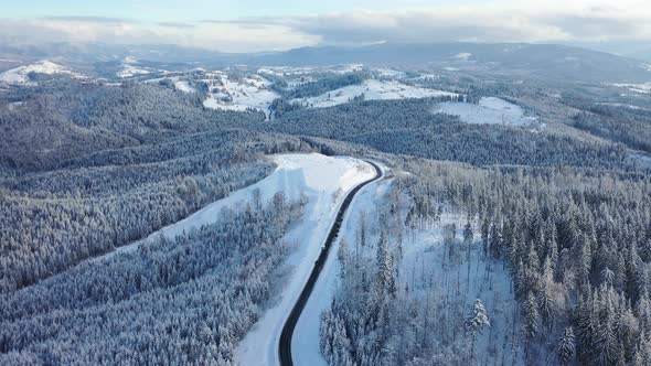 Aerial View on The Road and Forest in The Winter Time
