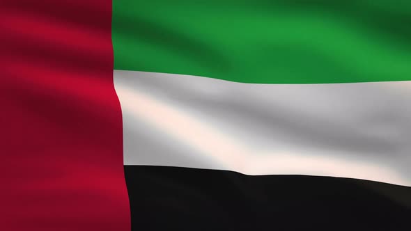 UAE Windy Flag Background 4K